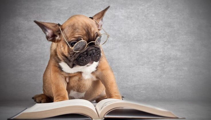 Children’s Books About Dogs