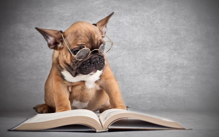 Children’s Books About Dogs