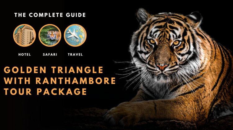 Ranthambore vacation packages