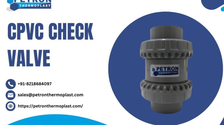 CPVC Check Valve