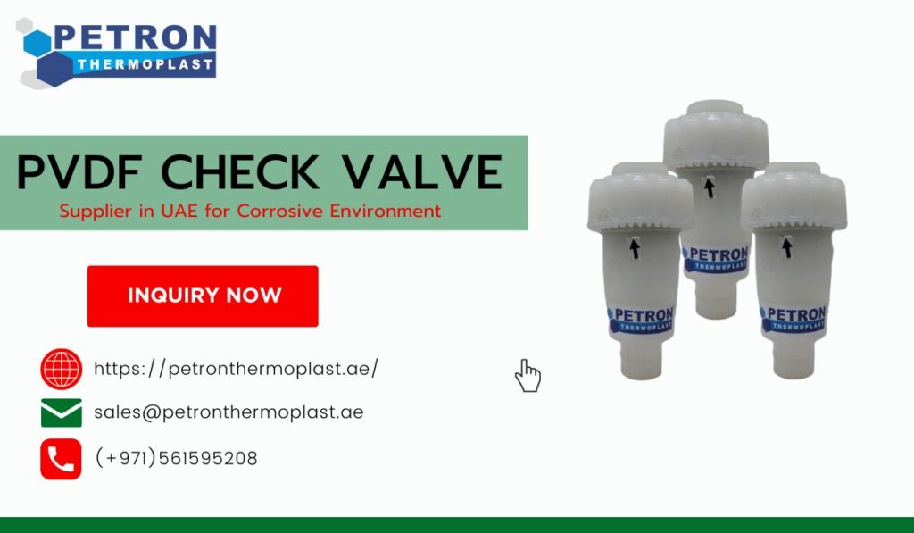PVDF Check Valve Supplier in UAE