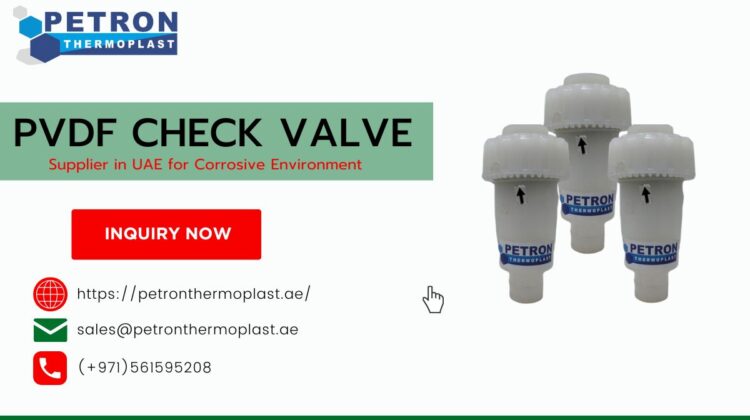 PVDF Check Valve Supplier in UAE