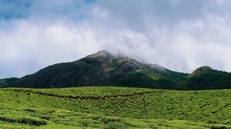 7 days kerala private tours