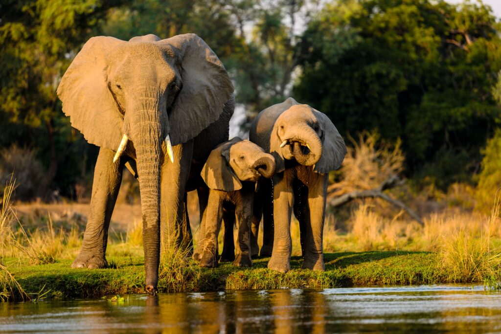 zanzibar travel packages