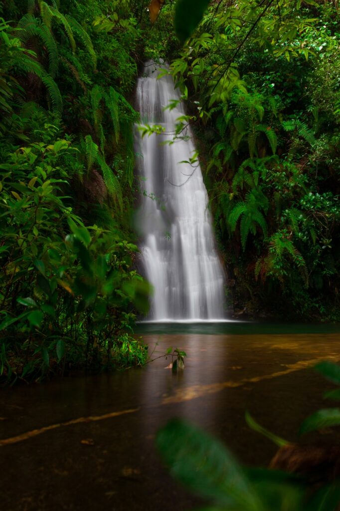 best time to visit Cherrapunje
